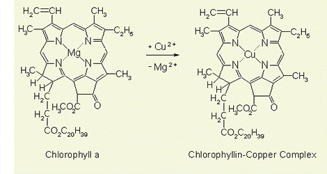 Nullo is water soluble chlorophyll or chlorophyllin chlorophyllin copper complex